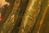 Polished Packsaddle Tiger Eye Slab - Western Australia #161960-1